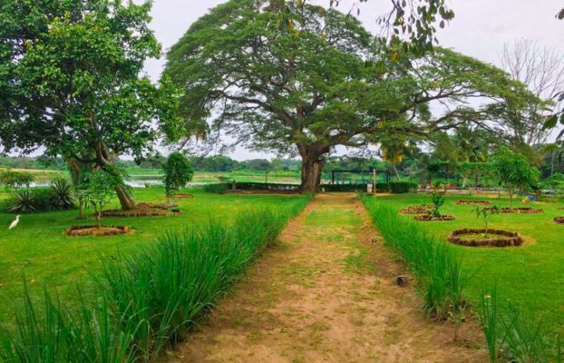 Copenhagen Farm, Angunakolapelessa, Hambantota