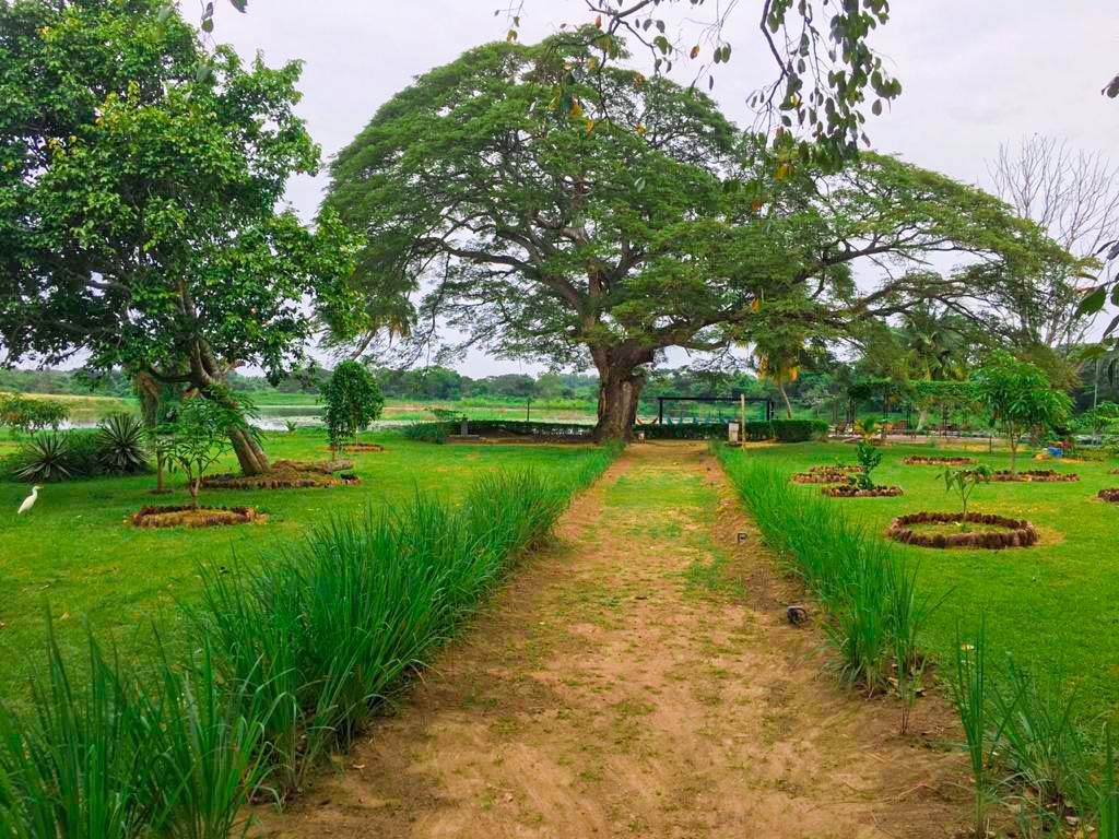 Copenhagen Farm, Angunakolapelessa, Hambantota