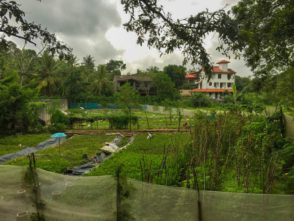 Haritha Ketha Organic Farm – Horahena Road, Hokandara