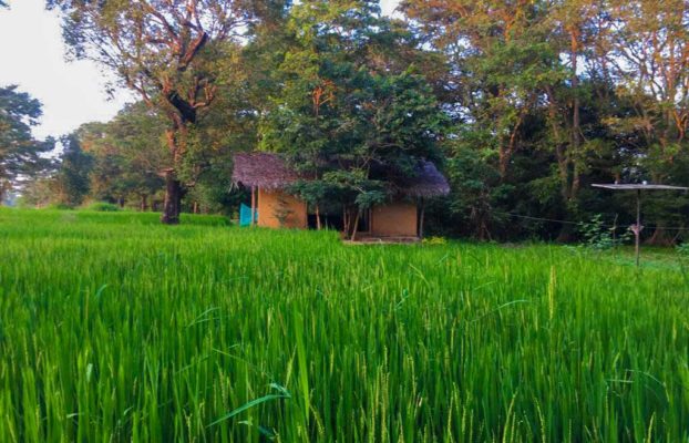 Back of Beyond Agro Pvt Ltd- Sigiriya, Pidurangala and Tangalle