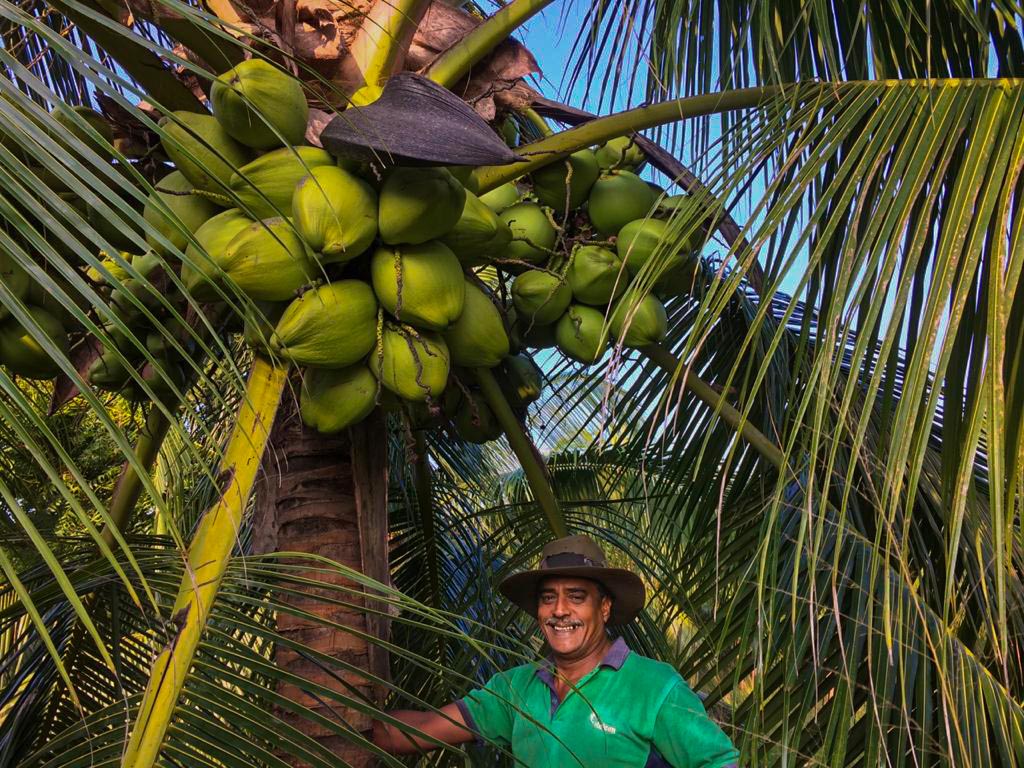 Coconut Land Management- Wanathawilluwa, Puttalam